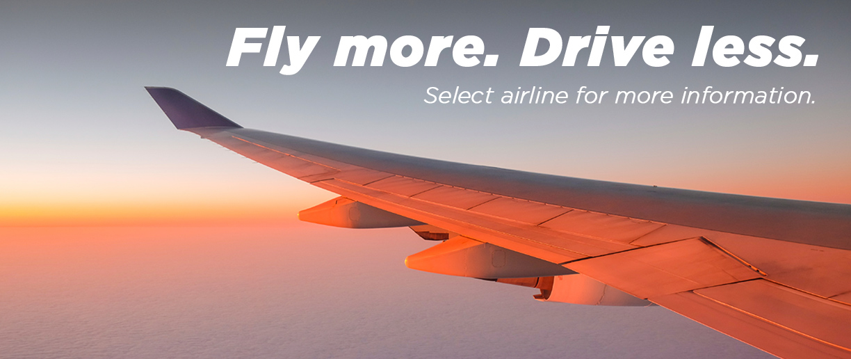 Fly More Drive Less